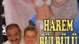 Harem bülbülü yeşilçam porno Şahin K.
