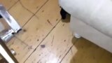 Türk Cuckold Gecesi