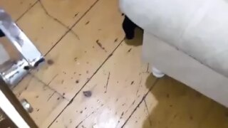 Türk Cuckold Gecesi